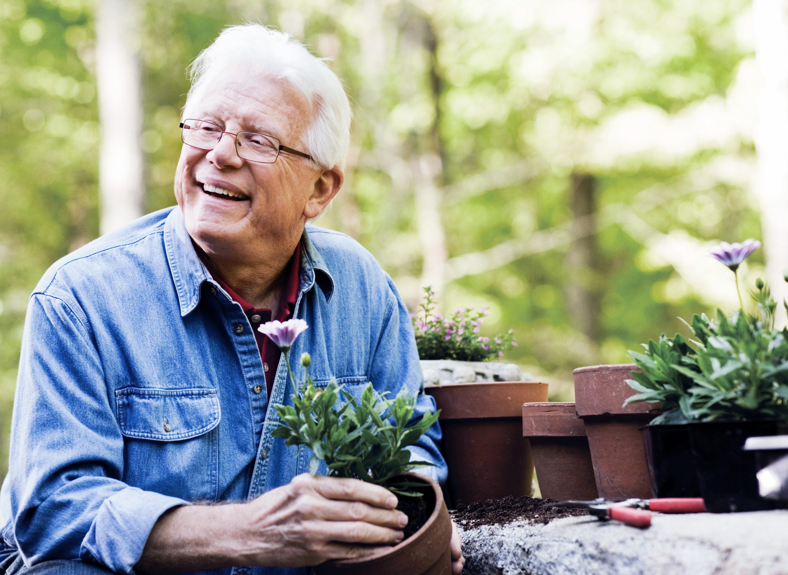 Cumberland View, there is so much to choose from Gentleman Gardening